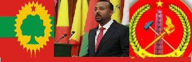 olf-abiy-tplf.jpg