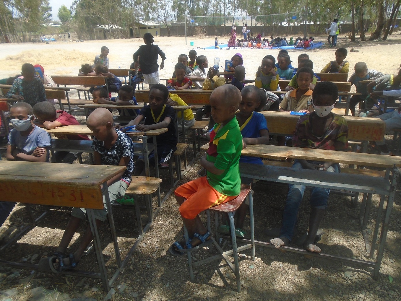 A picture containing outdoor, tree, ground, people

Description automatically generated